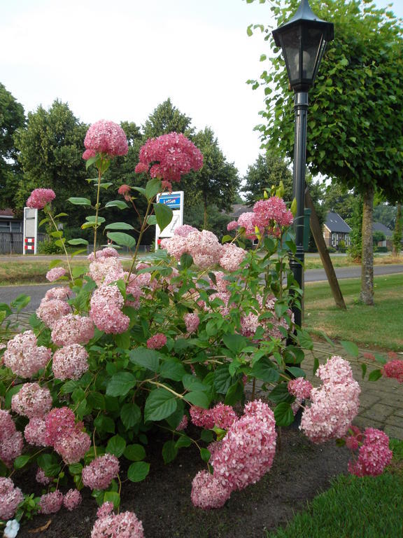 Bed and Breakfast Hof Van Lutten Exteriér fotografie